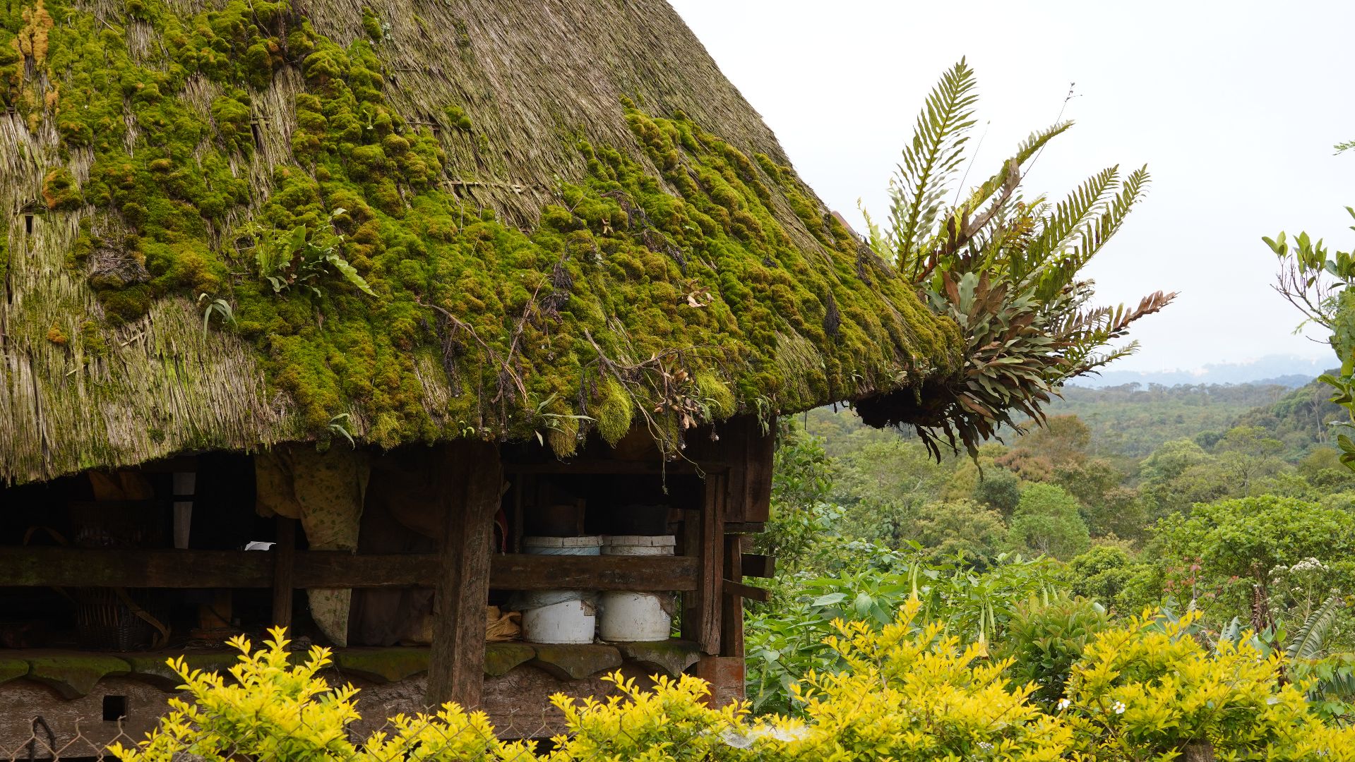 Monsoon_Villages 3.JPG